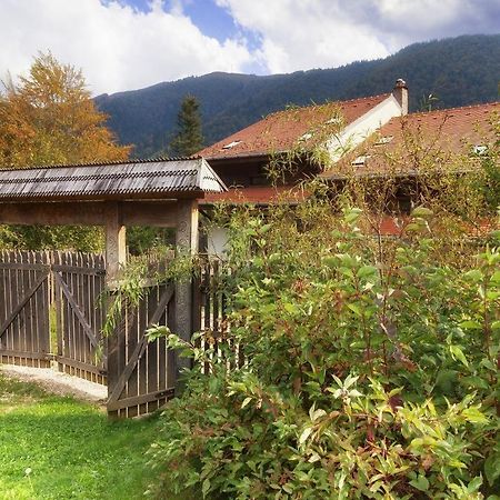 Casa Ferica Villa Azuga Luaran gambar