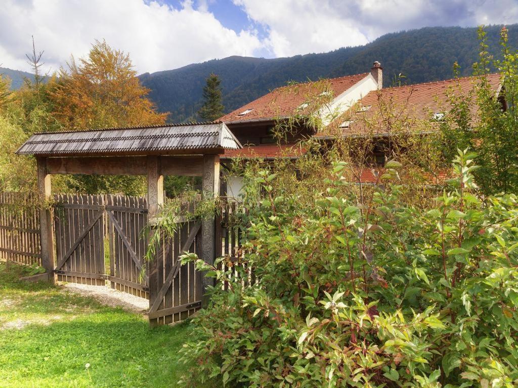 Casa Ferica Villa Azuga Luaran gambar